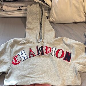 Champion Gray Cropped Hoodie